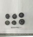 Click for 1 image(s) for this accession. FRUIT